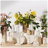 Chloé Atelier Des Fleurs Jasminum Sambac 150ml