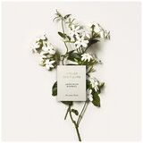 Chloé Atelier Des Fleurs Jasminum Sambac 150ml