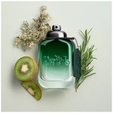 Coach Green edt 100ml