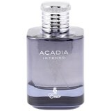 Emir Acadia Intenso edp 100ml