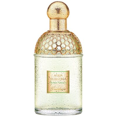 Guerlain Aqua Allegoria Herba Fresca edt 75ml