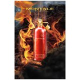 Montale Paris Wood On Fire edp 100ml