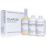 Olaplex Salon Intro Kit - 1st No1 Bond Multiplier 525ml + 2st No2 Bond Perfector 525ml