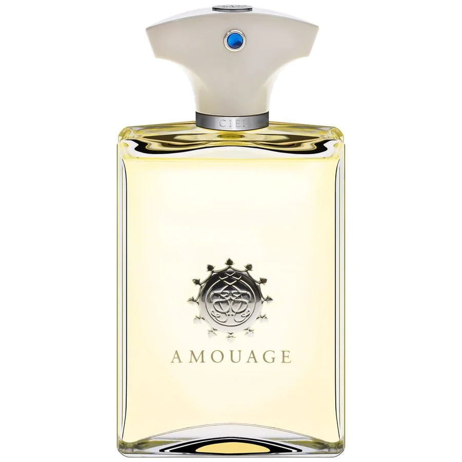 Amouage Dia Men edp 50ml