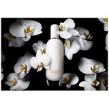 Clinique Aromatics In White edp 50ml