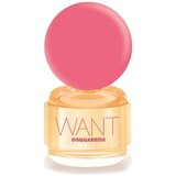 Dsquared2 Want Pink Ginger edp 50ml