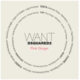 Dsquared2 Want Pink Ginger edp 50ml