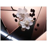 Yves Saint Laurent Black Opium Floral Shock edp 50ml