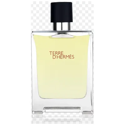 Hermes Eau D'Hermes edt 100ml