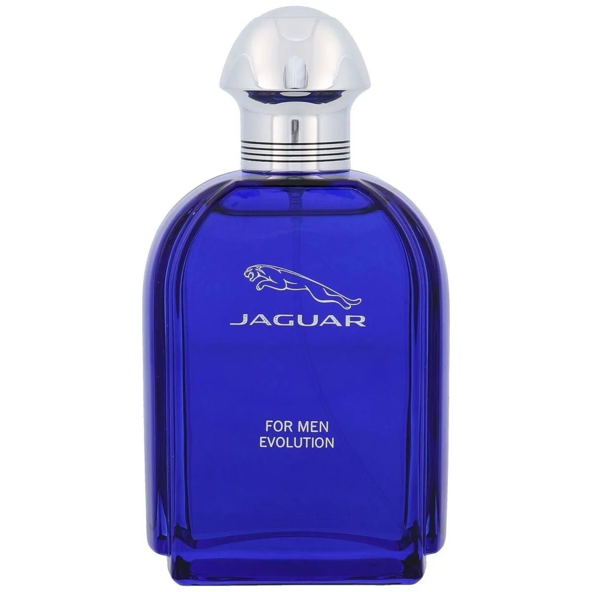Jaguar For Men Evolution edt 100ml