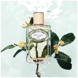 Prada Infusion De Fleur D'Oranger edp 100ml