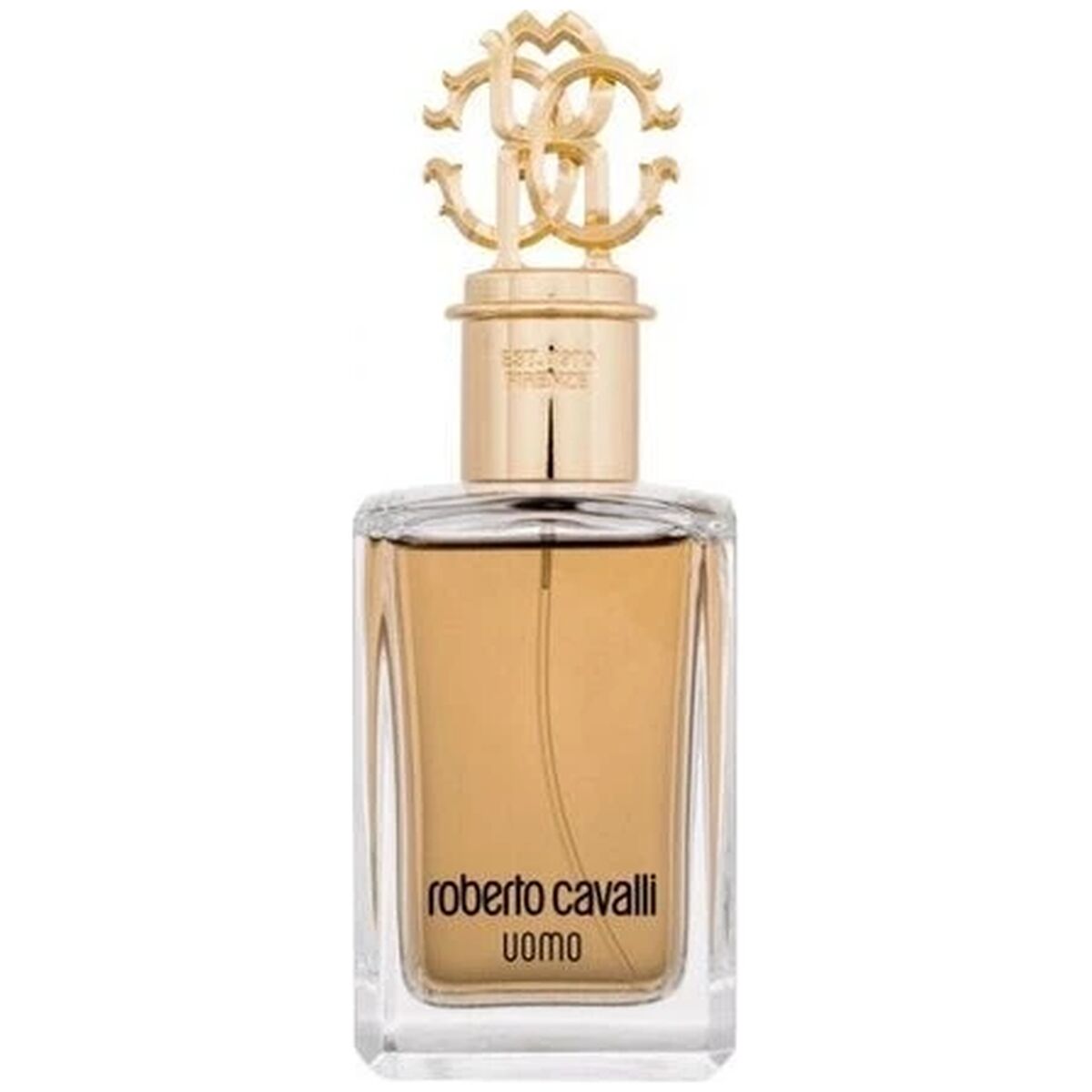 Roberto Cavalli Uomo edt 100ml