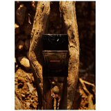 Sora Dora Broceliande Extrait de Parfum 50ml