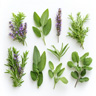 Aromatiska noter Aromatiska noter