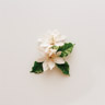 Kaffe blossom