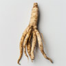 Ginseng Ginseng