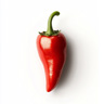Peruansk peppar