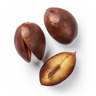 Sapodilla